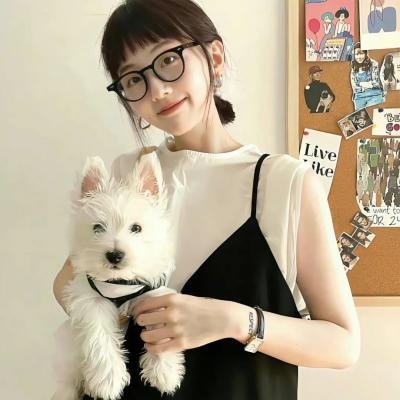 美国骗局